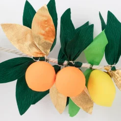 Citrus Fruit Garland><noscript><img width=