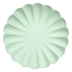 Large Multicolor Compostable Plates - Big Multipack (x 48)><noscript><img width=