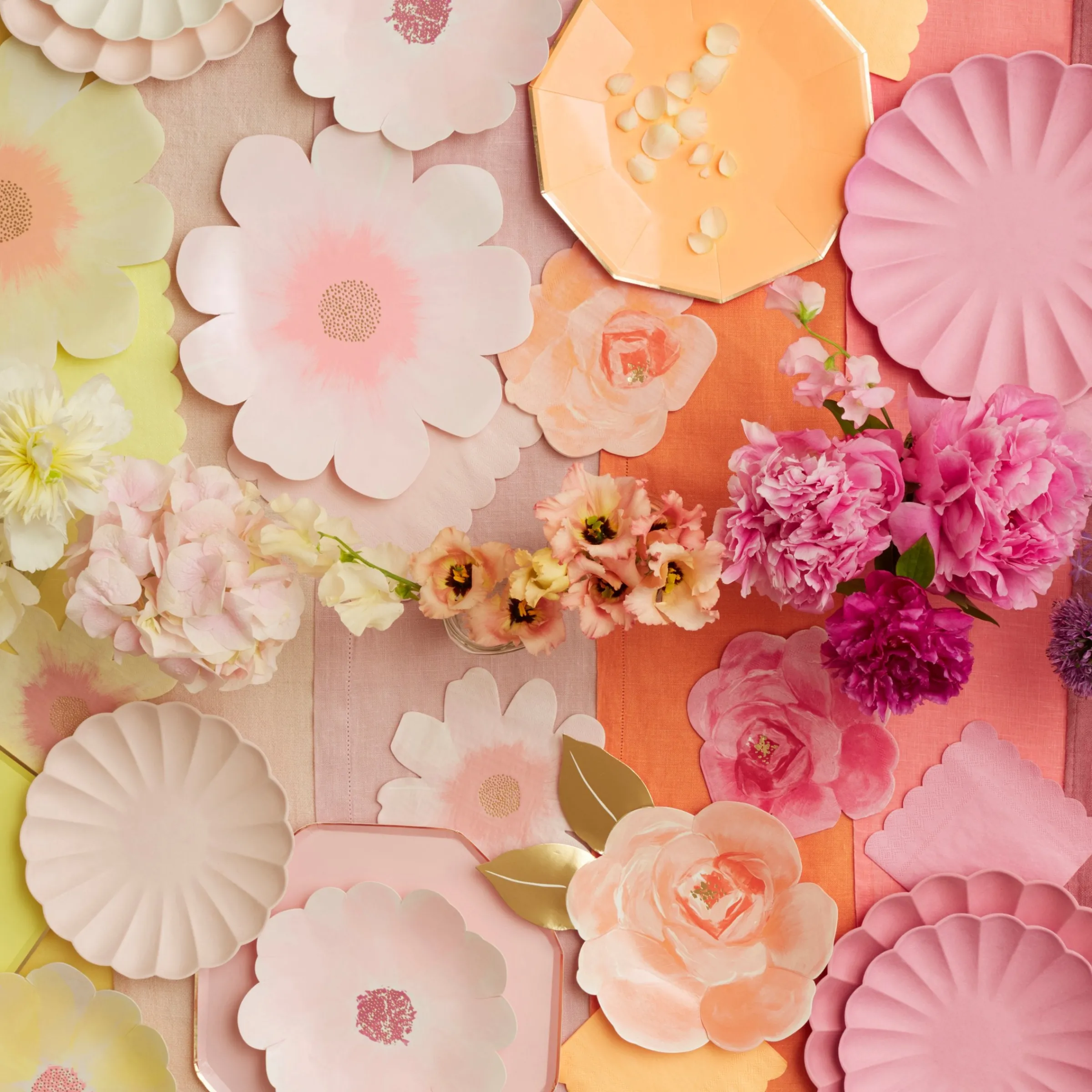 Large Multicolor Compostable Plates (x 8)>Meri Meri Sale