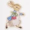 Peter Rabbit™ Reusable Plate>Meri Meri Outlet