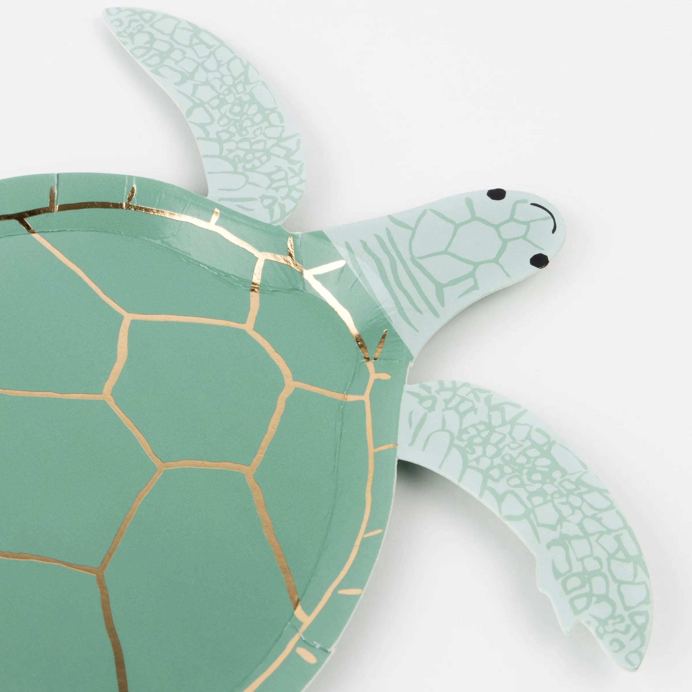 Turtle Plates (x 8)>Meri Meri Hot