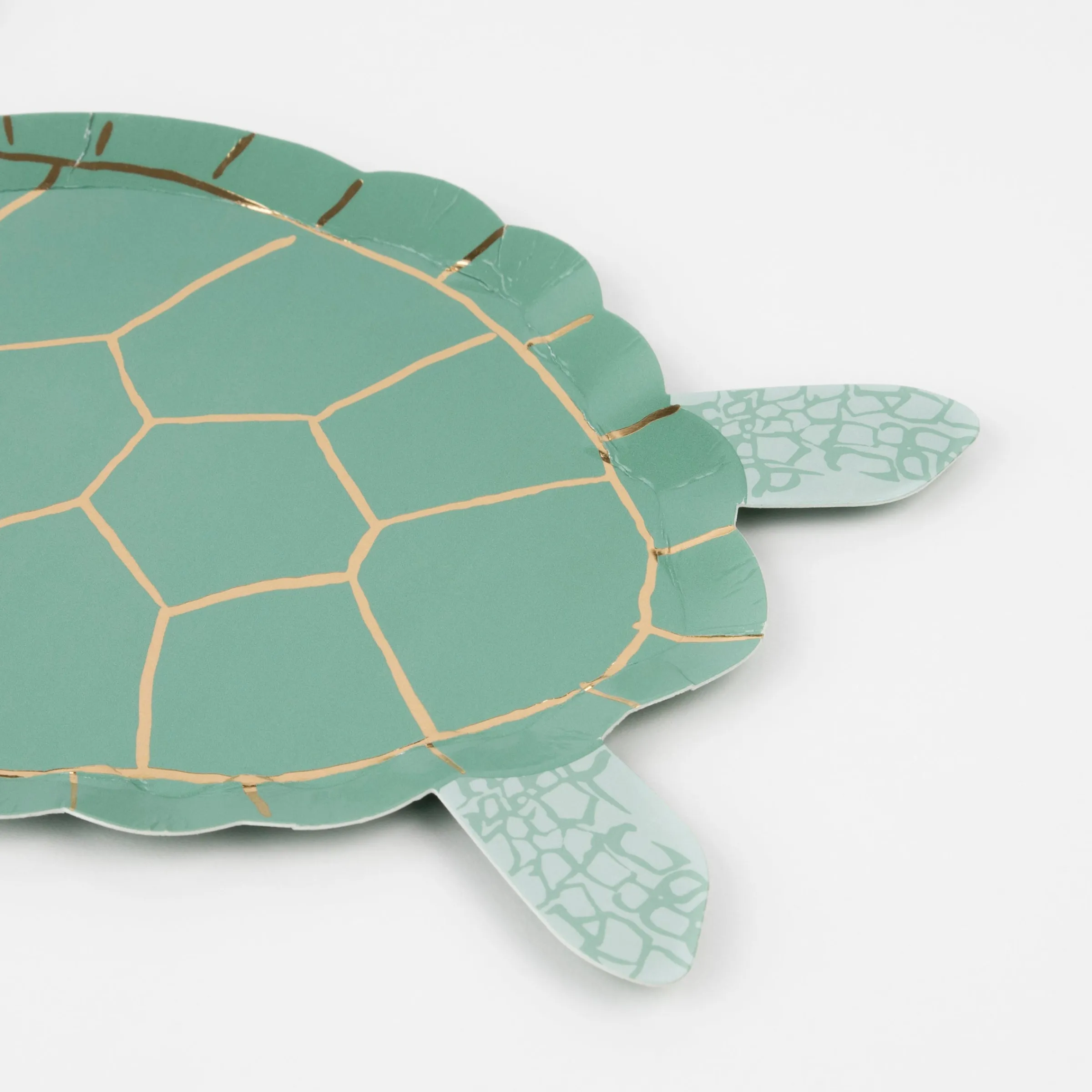 Turtle Plates (x 8)>Meri Meri Hot