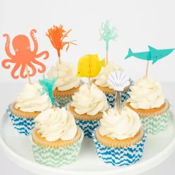 Under The Sea Turtle Set><noscript><img width=